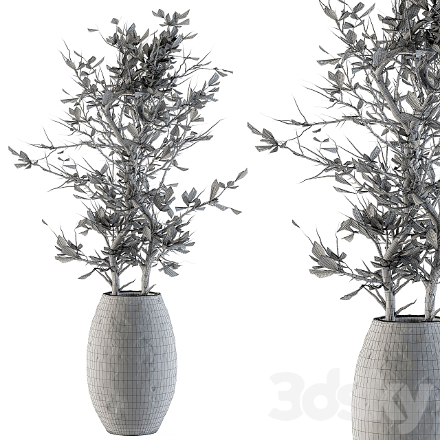 indoor Plant Set 85 – Dried Plant 3DSMax File - thumbnail 4