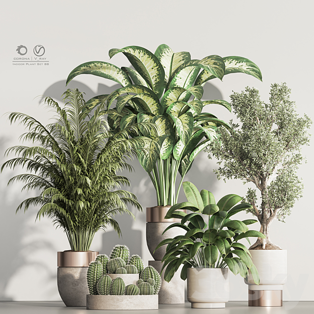 Indoor Plant Set 88 3ds Max - thumbnail 1