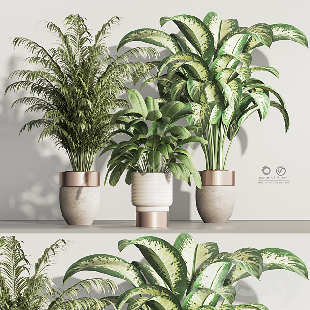 Indoor Plant Set 88 3ds Max - thumbnail 2