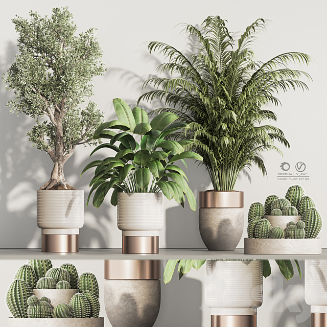 Indoor Plant Set 88 3ds Max - thumbnail 3