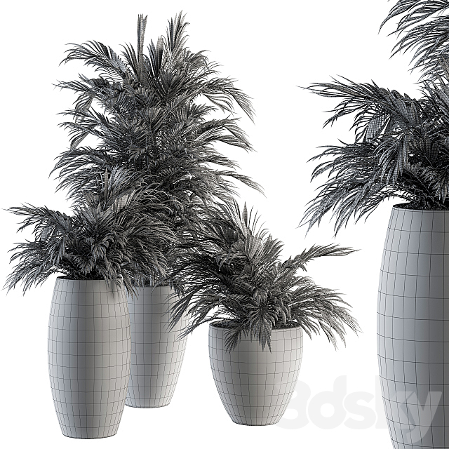 Indoor Plant Set 88 – Tropical 3DS Max Model - thumbnail 5