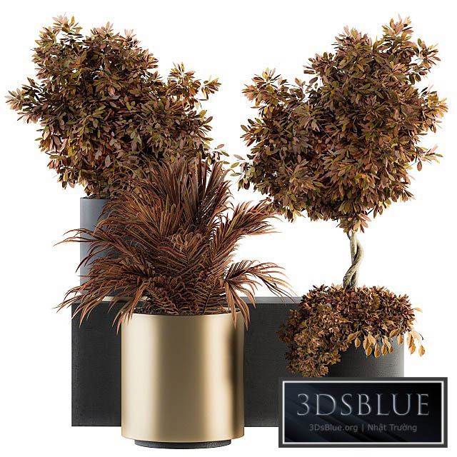 indoor Plant Set 91 – Black and Gold (Red Plant) 3DS Max - thumbnail 3