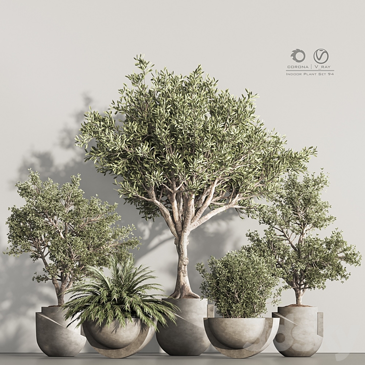 Indoor Plant Set 94 3DS Max Model - thumbnail 1