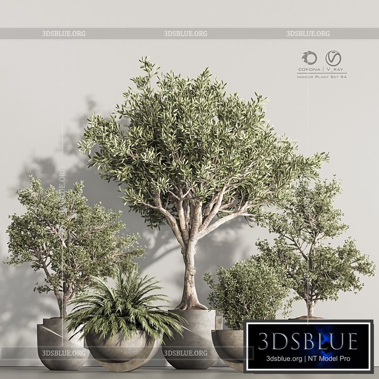 Indoor Plant Set 94 3DS Max - thumbnail 3