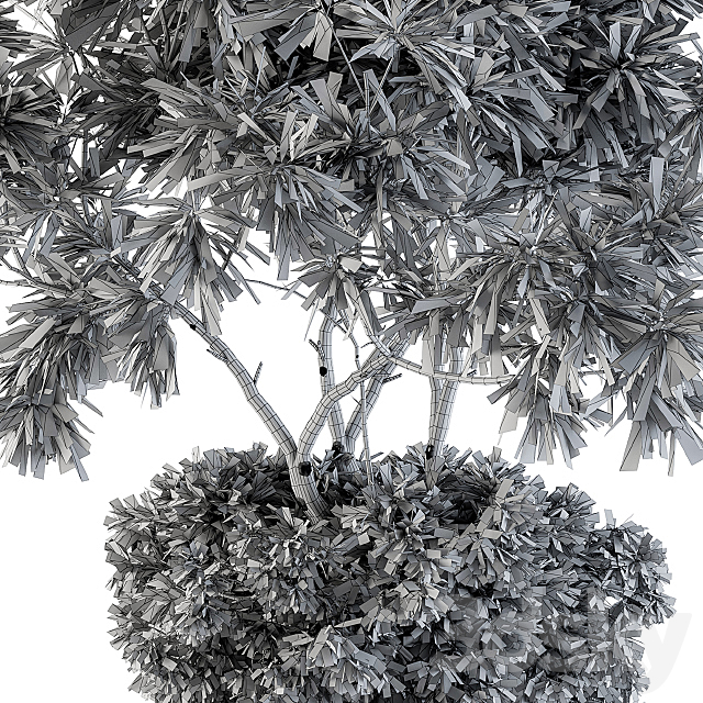 indoor Plant Set 96 – olive 3DSMax File - thumbnail 4