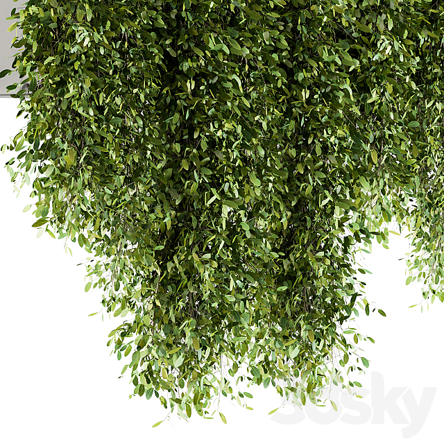 indoor Plant Set 98 – Hanging Plants 3DS Max Model - thumbnail 3