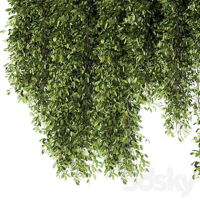 indoor Plant Set 98 – Hanging Plants 3DS Max Model - thumbnail 4