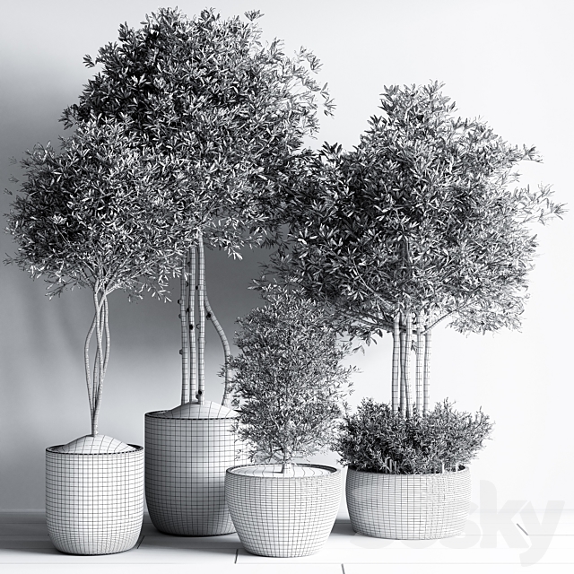 Indoor Plant Set12 3DSMax File - thumbnail 7