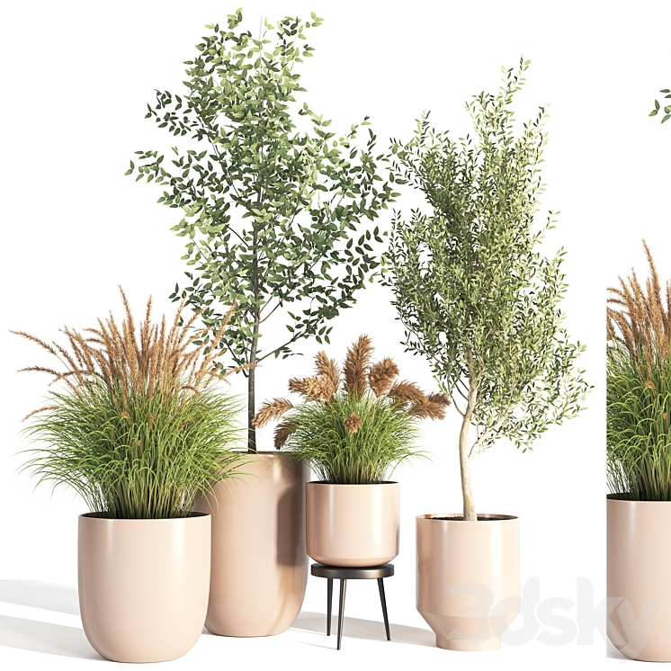 indoor plant stand 09 3DS Max Model - thumbnail 1