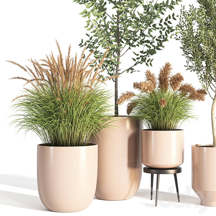 indoor plant stand 09 3DS Max Model - thumbnail 2