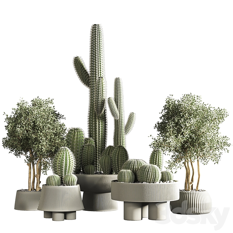 indoor plant stand 31 3DS Max - thumbnail 1