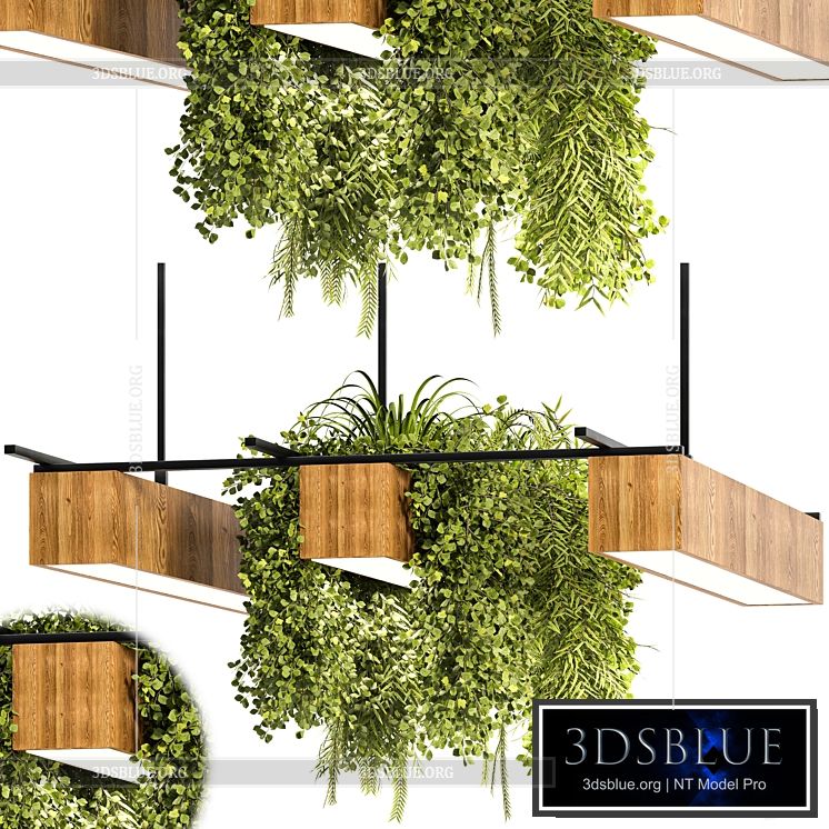 indoor plant stand 31 3DS Max - thumbnail 3