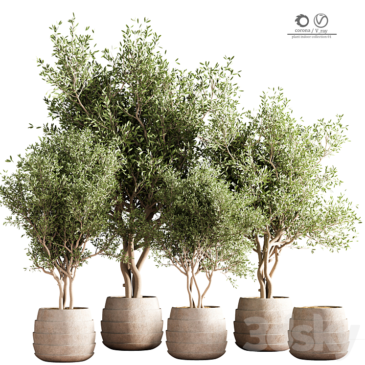 indoor plant stand 40 3DS Max Model - thumbnail 1