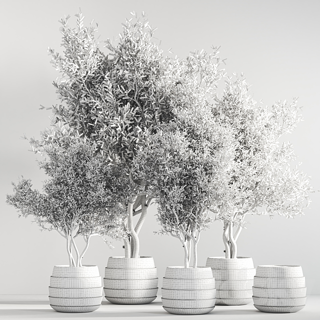 indoor plant stand 40 3DSMax File - thumbnail 5