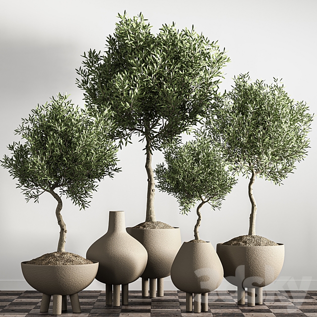 indoor plant station 46 3DSMax File - thumbnail 2