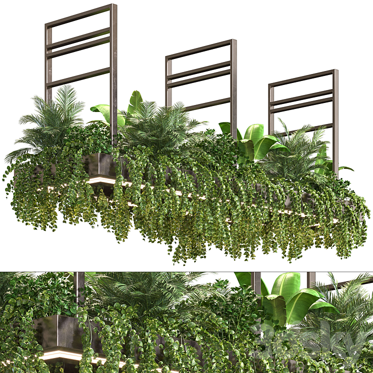 Indoor Plant Vol2 – hanging pot Vol2 3DS Max - thumbnail 1