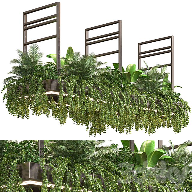 Indoor Plant Vol2 – hanging pot Vol2 3DSMax File - thumbnail 1