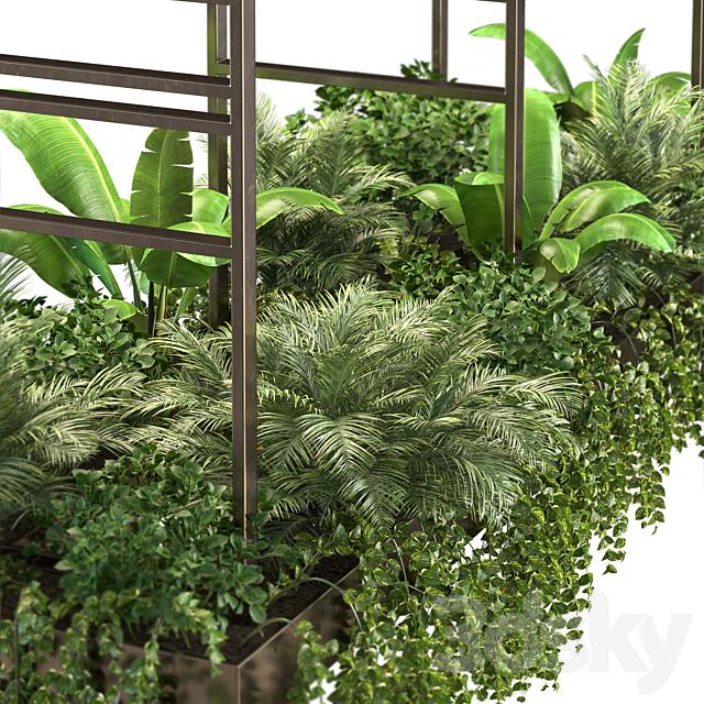 Indoor Plant Vol2 – hanging pot Vol2 3DSMax File - thumbnail 3