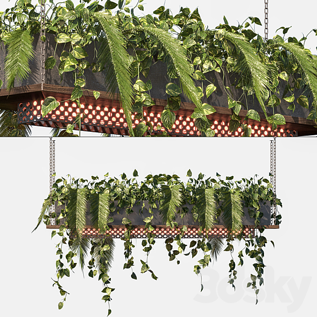 Indoor Plant Vol3 – hanging pot Vol3 3ds Max - thumbnail 2