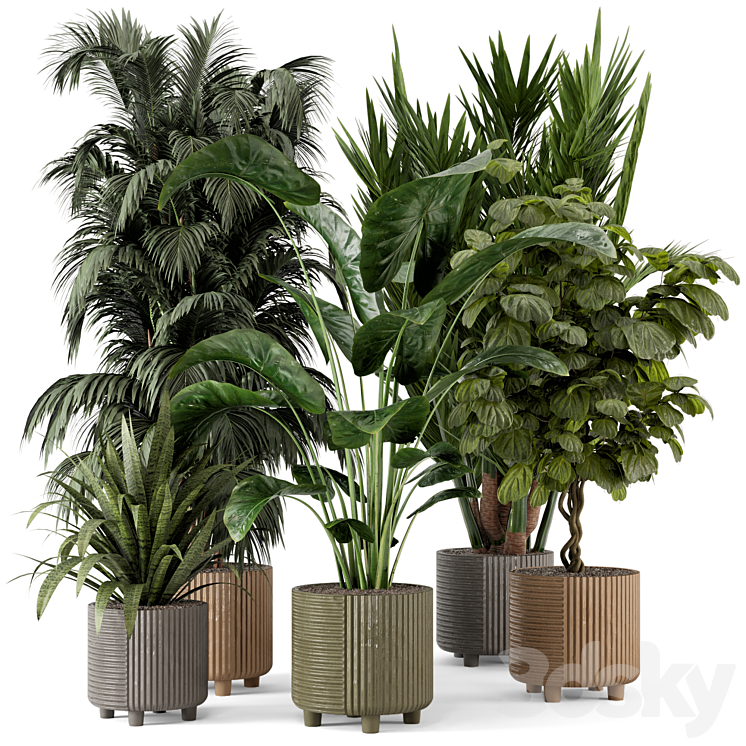 Indoor Planters in Cecilia Ficonstone Pot – Set 349 3DS Max Model - thumbnail 3