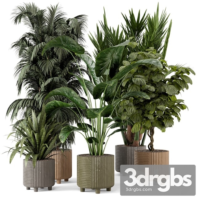 Indoor planters in cecilia ficonstone pot – set 349 - thumbnail 1