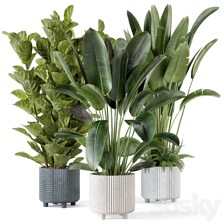 Indoor Planters in Cecilia Ficonstone Pot – Set 409 3DS Max Model - thumbnail 1