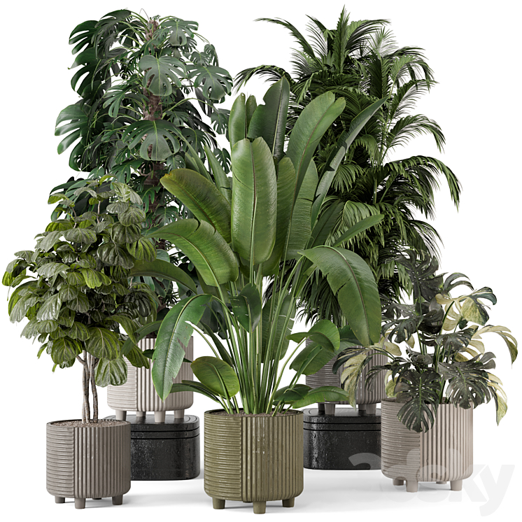 Indoor Planters in Cecilia Ficonstone Pot – Set 969 3DS Max - thumbnail 1