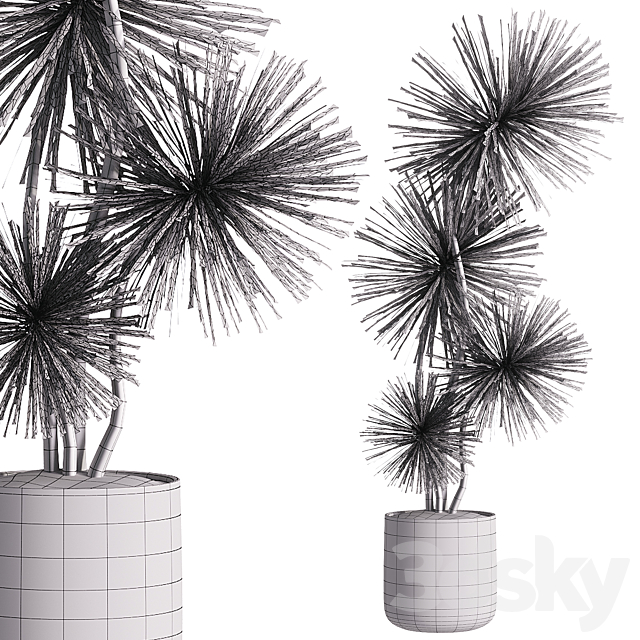 indoor plants – 31 plants in pot 3ds Max - thumbnail 3