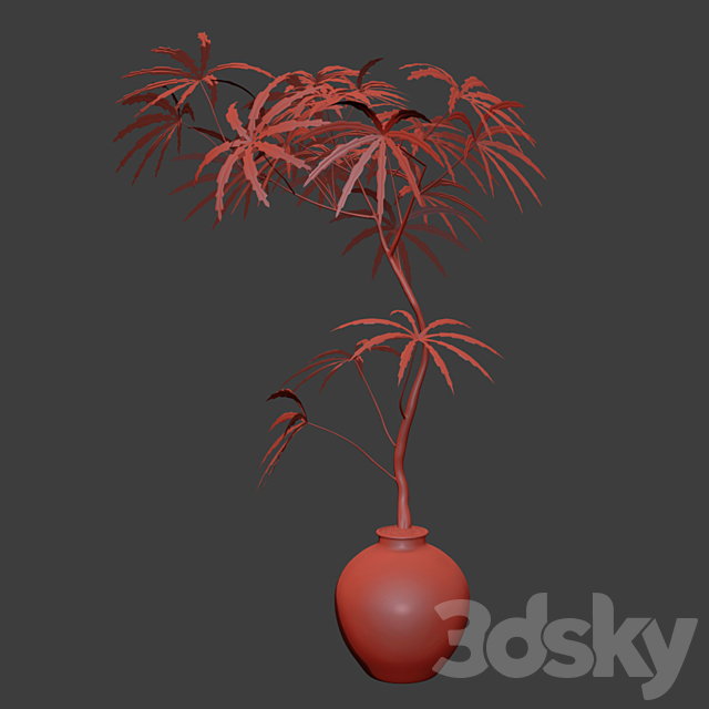 indoor plants 3ds Max - thumbnail 3