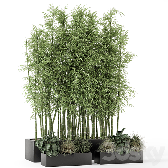 Indoor Plants Bamboo Set in rusty Concrete Pots – Set 1894 3ds Max - thumbnail 3