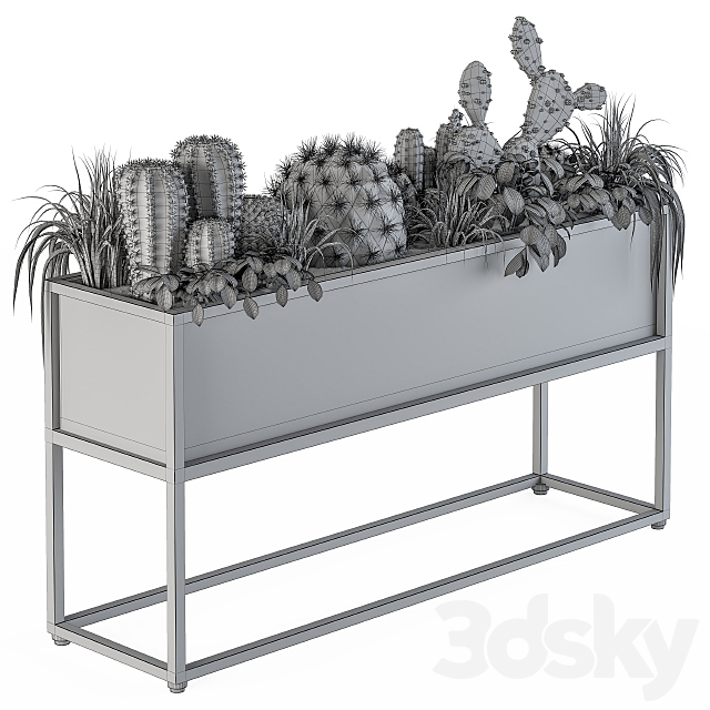 Indoor Plants Box Cactus 3DSMax File - thumbnail 5