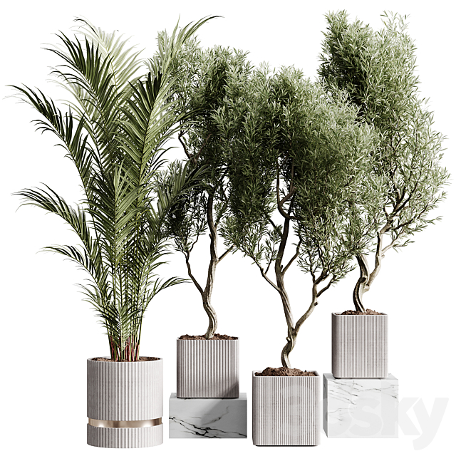 Indoor plants collection set 01 3ds Max - thumbnail 1