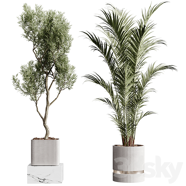 Indoor plants collection set 01 3ds Max - thumbnail 2