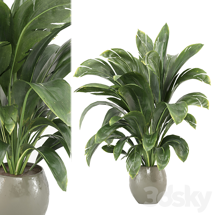 indoor Plants Collection – Set 586 3DS Max Model - thumbnail 1