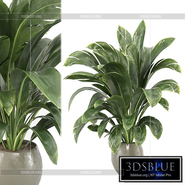 indoor Plants Collection – Set 586 3DS Max - thumbnail 3