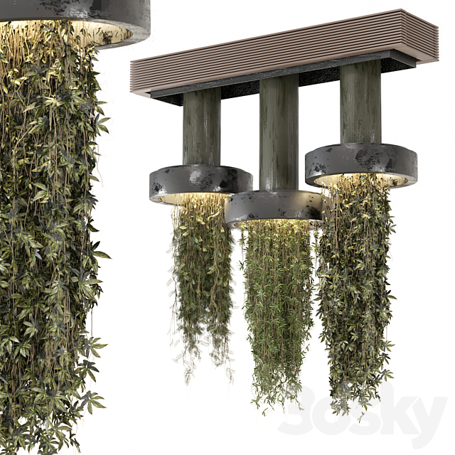 indoor Plants Collection set_12 hanging65 3ds Max - thumbnail 1