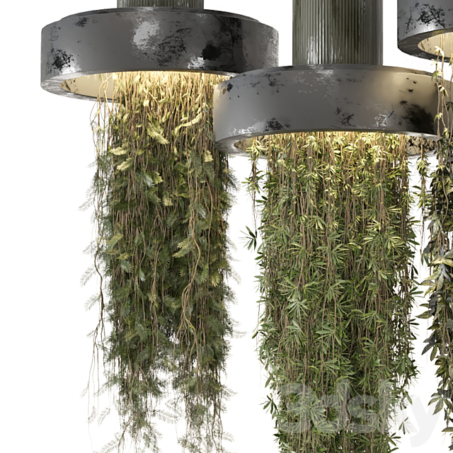 indoor Plants Collection set_12 hanging65 3ds Max - thumbnail 2