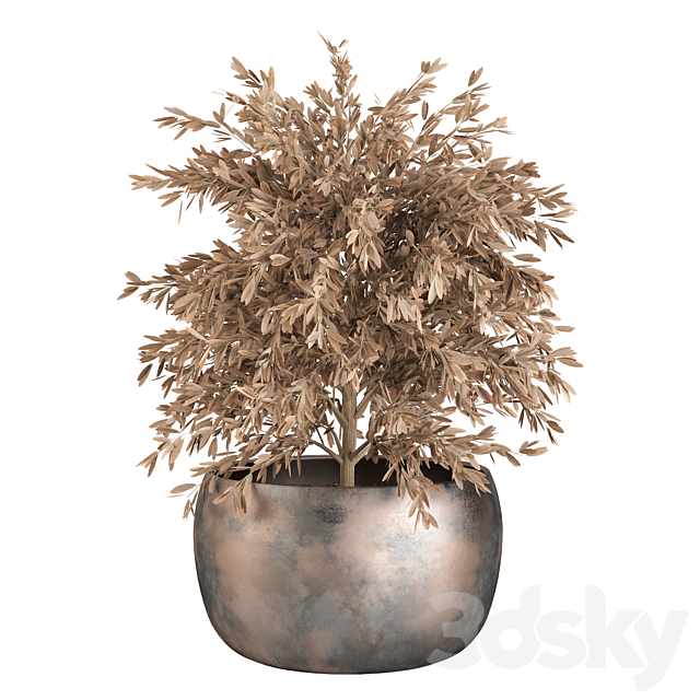 Indoor Plants (Dried) Set No.9 3DSMax File - thumbnail 2