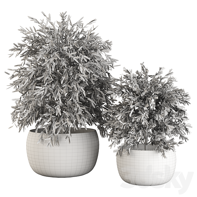 Indoor Plants (Dried) Set No.9 3DSMax File - thumbnail 3