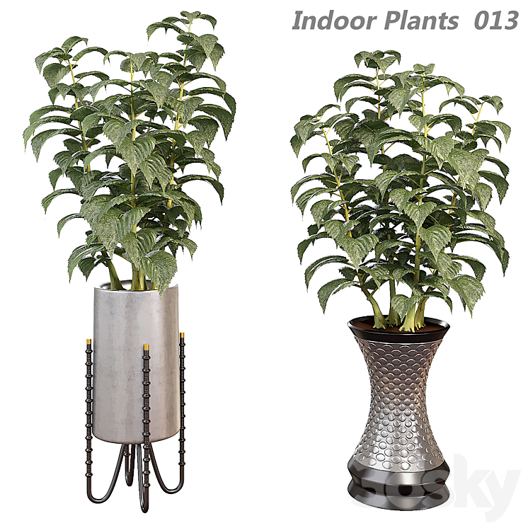 Indoor plants in a pot 013 3DS Max - thumbnail 1