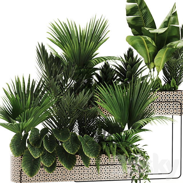 Indoor plants in box set-70 3DS Max Model - thumbnail 2