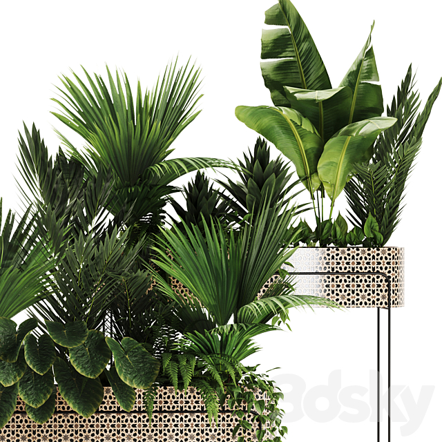 Indoor plants in box set-70 3DS Max Model - thumbnail 4