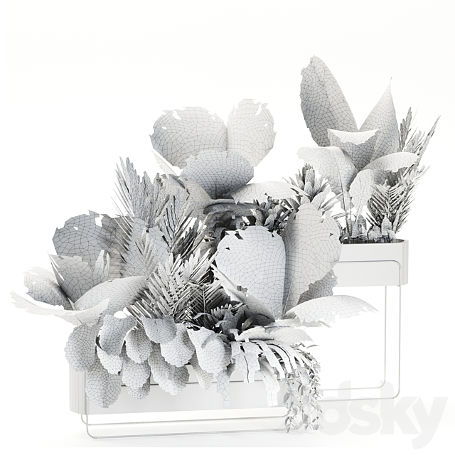 Indoor plants in box set-70 3DS Max Model - thumbnail 6