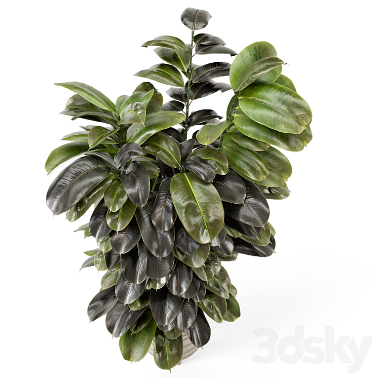 Indoor Plants In Concrete Pots – Set 953 3DS Max - thumbnail 2