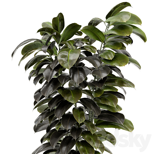 Indoor Plants In Concrete Pots – Set 953 3DS Max Model - thumbnail 3