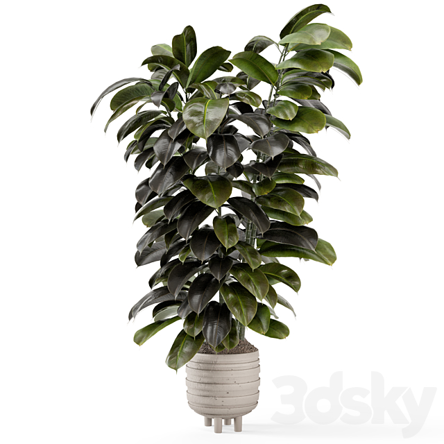 Indoor Plants In Concrete Pots – Set 953 3DS Max Model - thumbnail 6