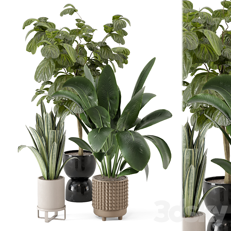 Indoor Plants in Ferm Living Bau Pot Large – Set 1044 3DS Max Model - thumbnail 1