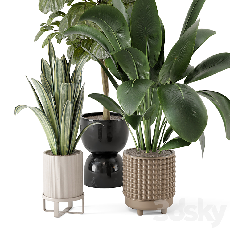 Indoor Plants in Ferm Living Bau Pot Large – Set 1044 3DS Max Model - thumbnail 2
