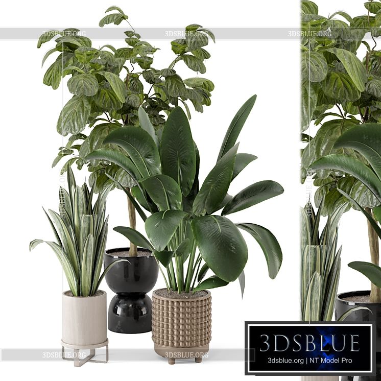 Indoor Plants in Ferm Living Bau Pot Large – Set 1044 3DS Max - thumbnail 3