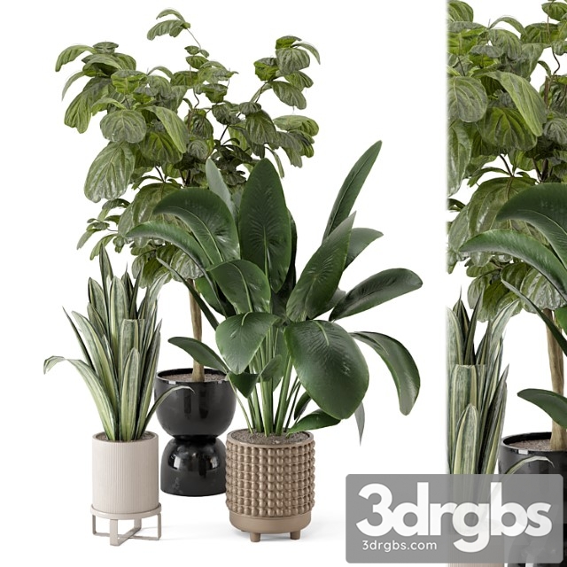 Indoor plants in ferm living bau pot large – set 1044 - thumbnail 1